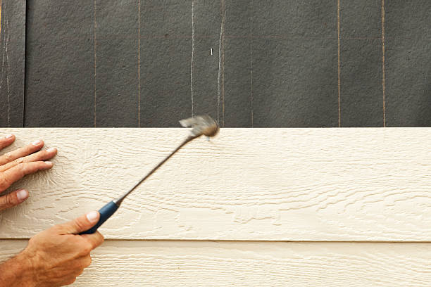 Best Fiber Cement Siding Installation  in Martsville, IN